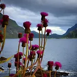 Hébergement de vacances Panorama Lofoten Vareidstua Vareid