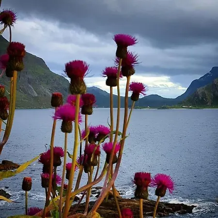 بيت للعطل Panorama Lofoten Vareidstua Vareid