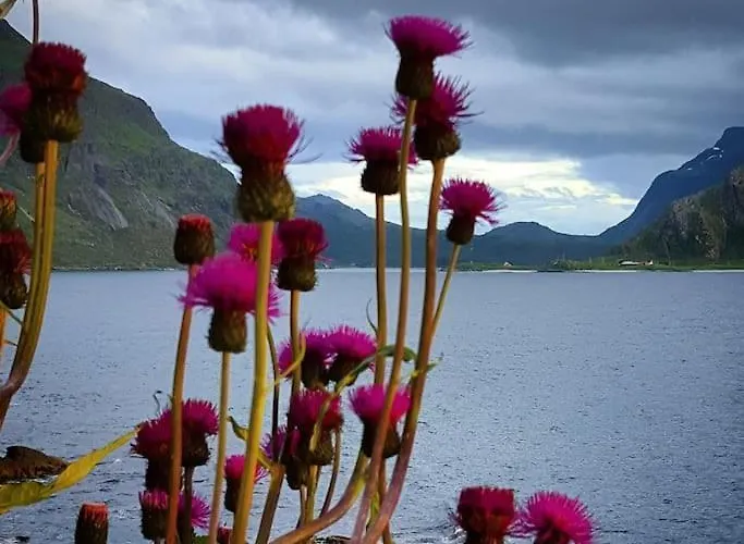 Holiday home Panorama Lofoten Vareidstua Vareid
